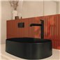 Lavabo ovale en granit noir de 55 cm avec plan - Delia Lavabo ovale en granit noir de 55 cm avec plan - Delia
