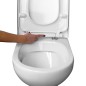 Siège de toilette amovible Softclose